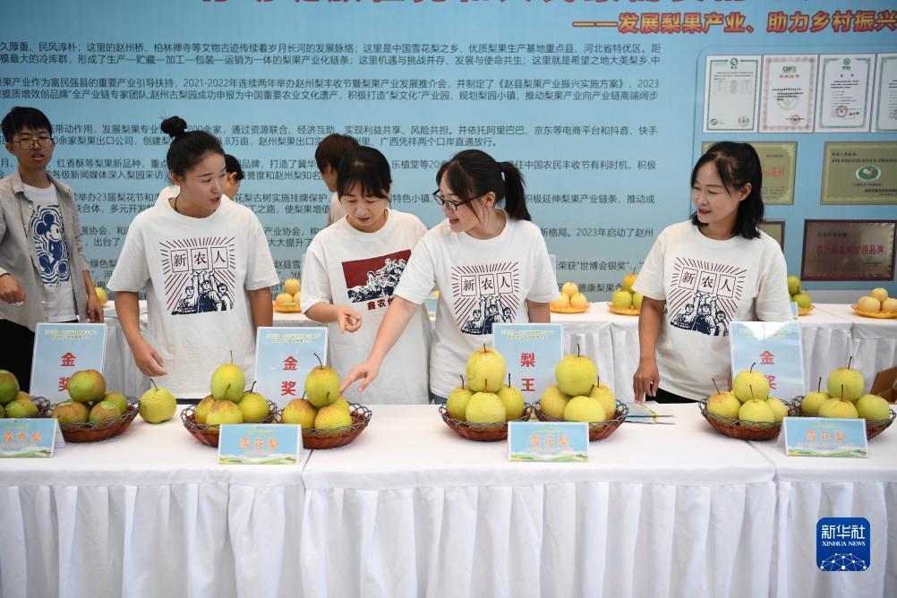 如何下载永利网